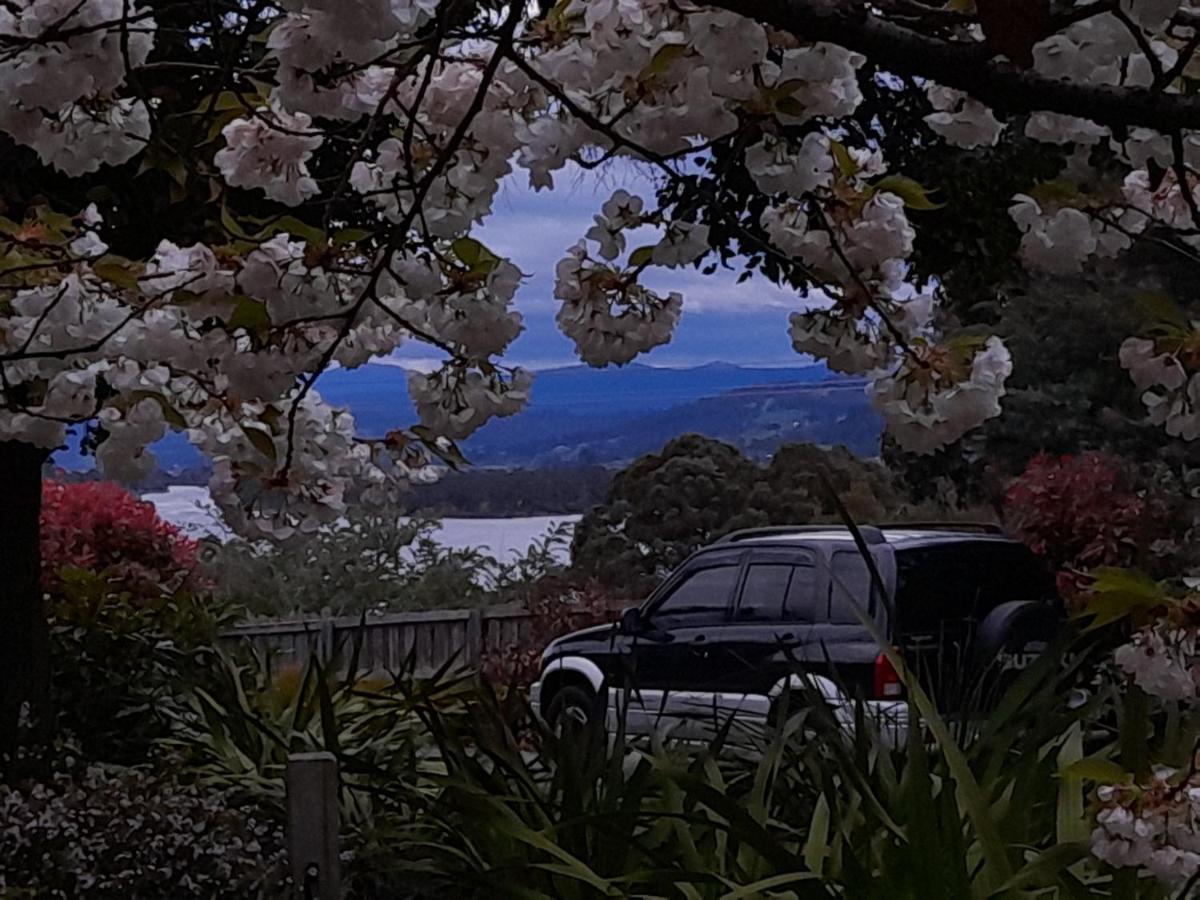 Hillside Bed And Breakfast Huonville Exterior foto