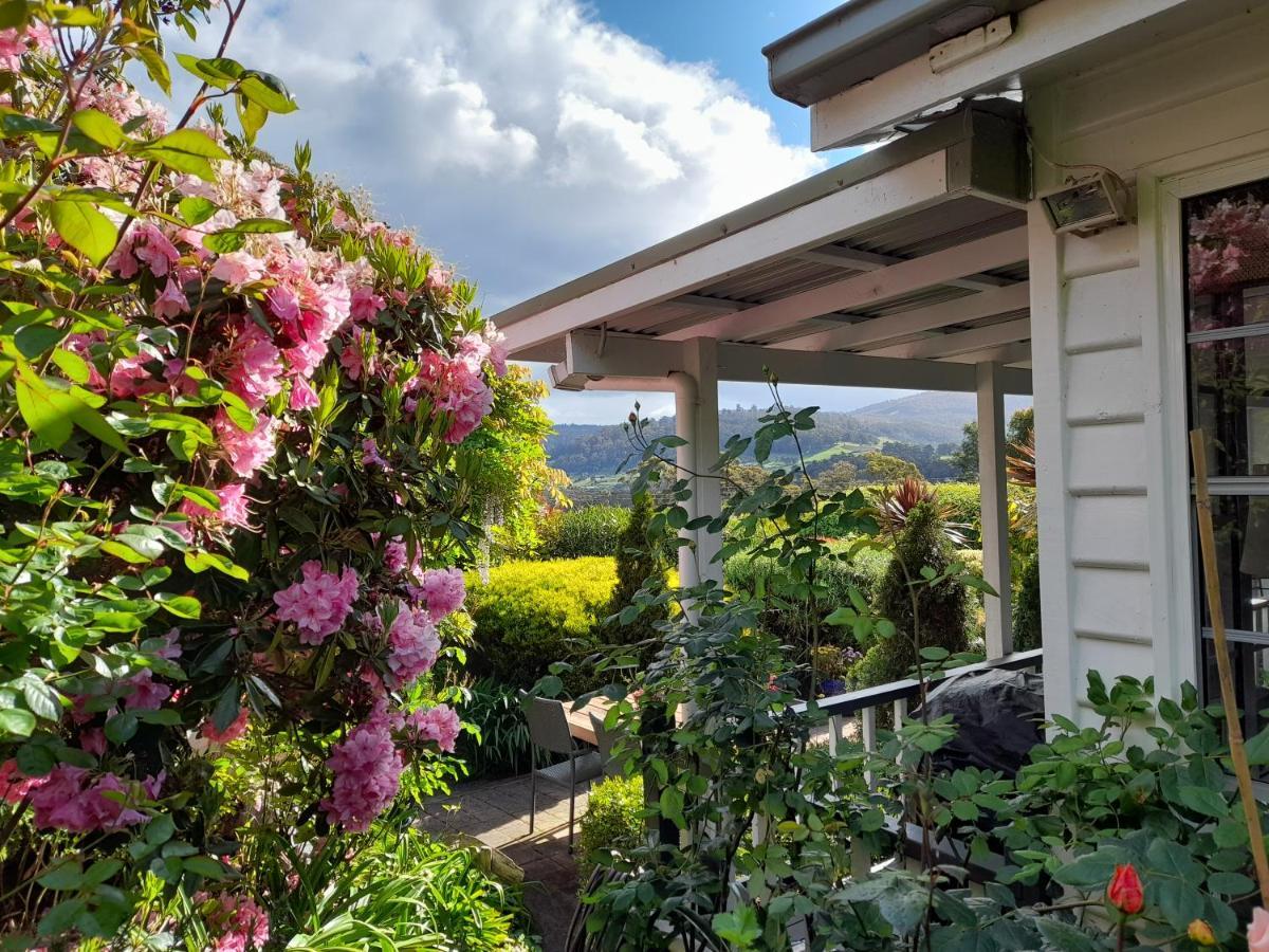 Hillside Bed And Breakfast Huonville Exterior foto