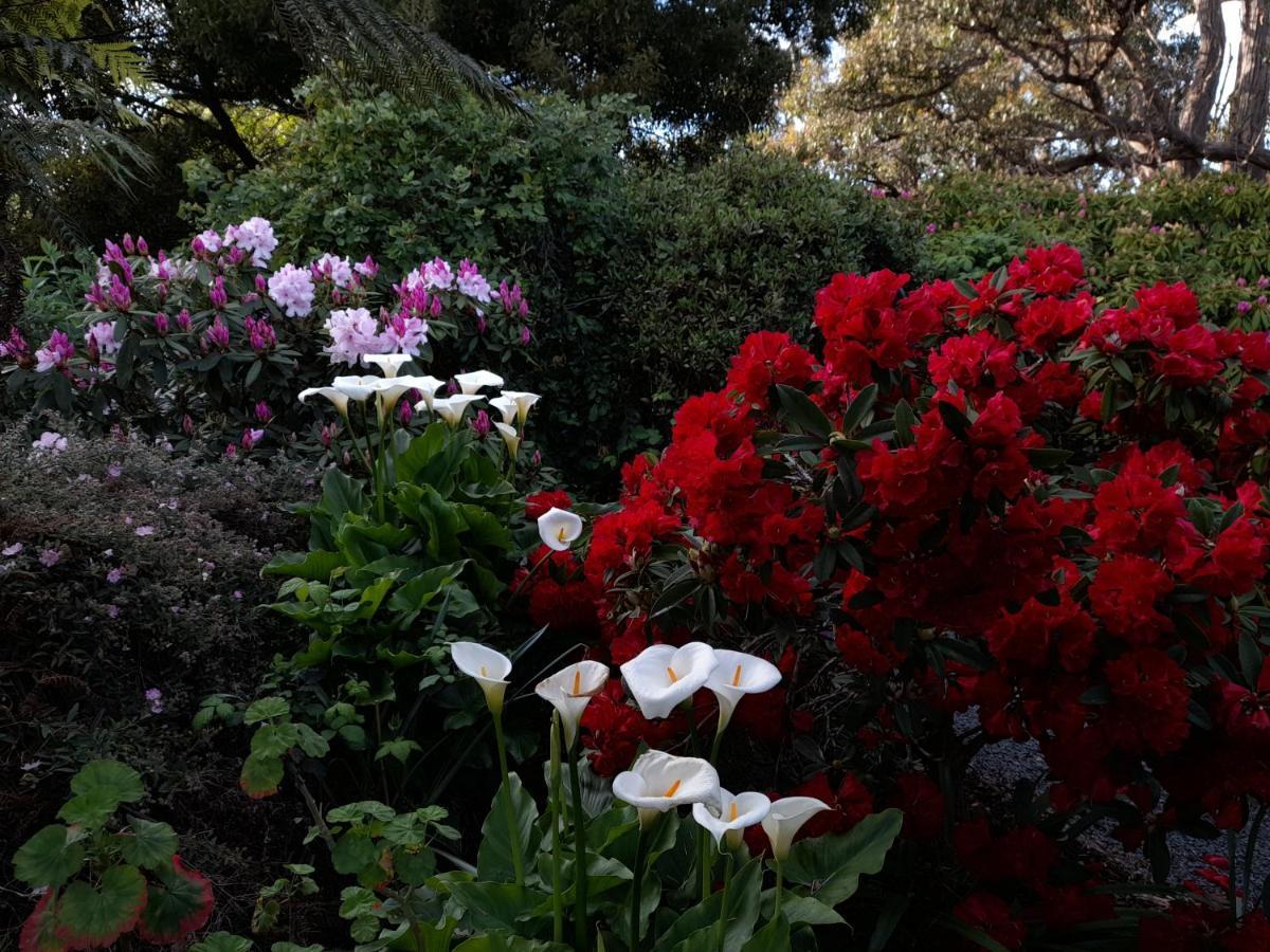 Hillside Bed And Breakfast Huonville Exterior foto