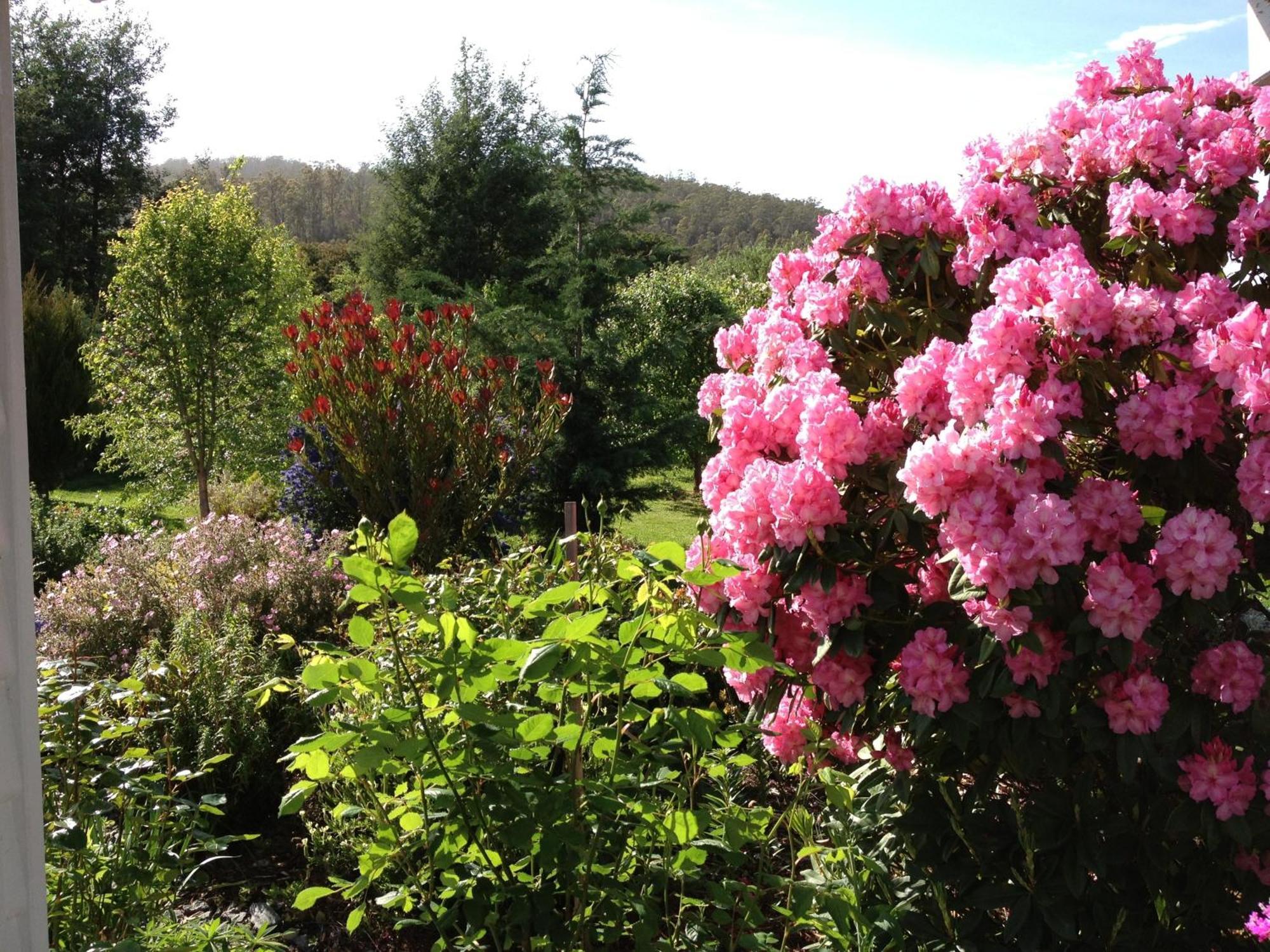 Hillside Bed And Breakfast Huonville Exterior foto